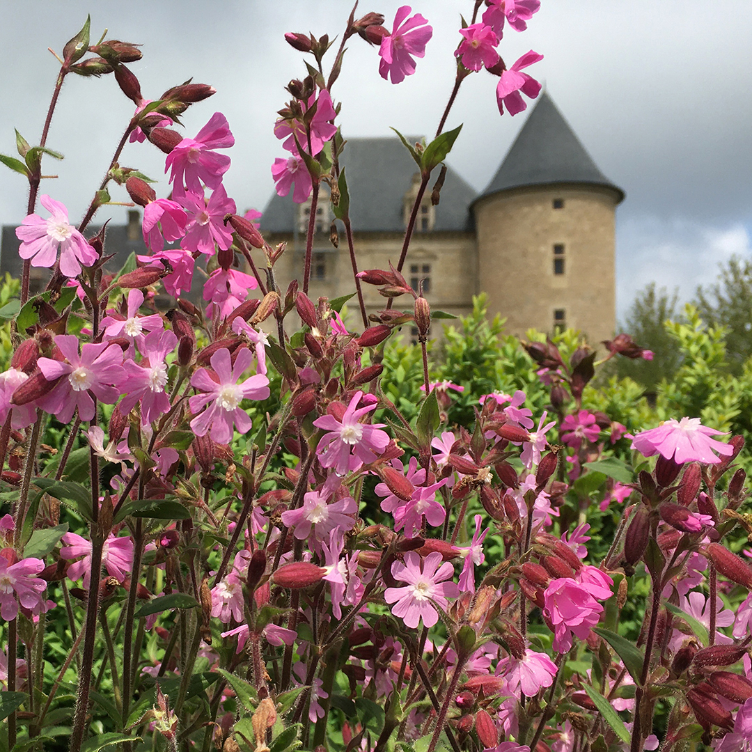  ♥♥♥ JARDINS DU CHATEAU DE BOURNAZEL