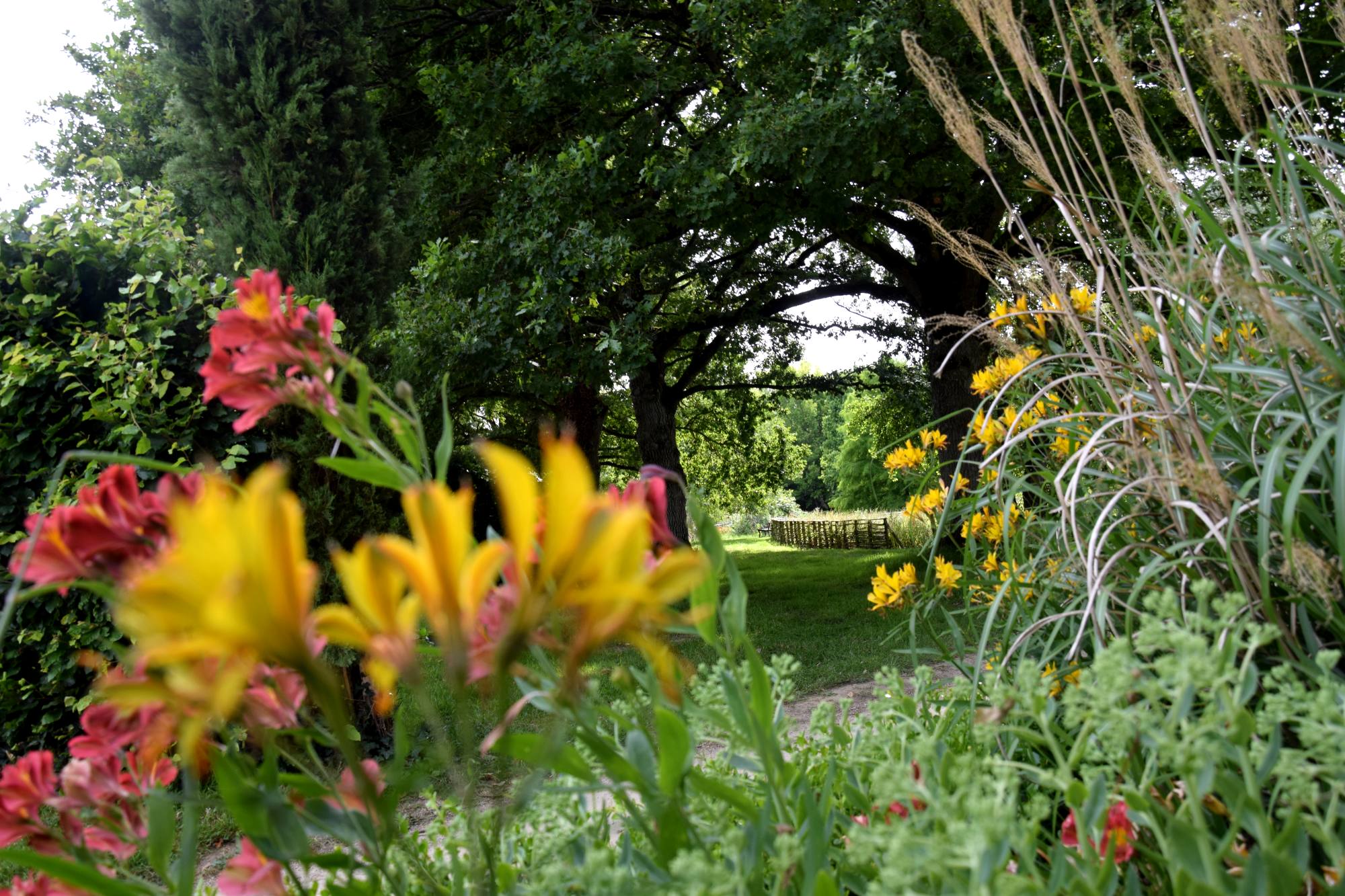 JARDINS DE BROCELIANDE