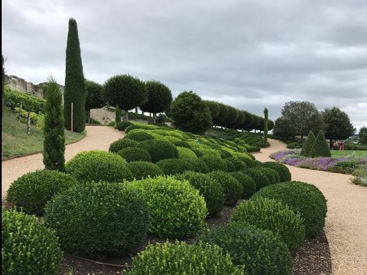 ♥♥♥ LES JARDINS DU CHATEAU ROYAL D'AMBOISE