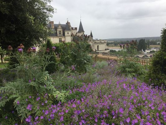 ♥♥♥ LES JARDINS DU CHATEAU ROYAL D'AMBOISE