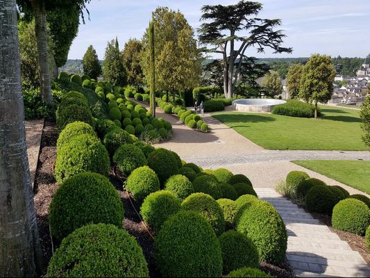 ♥♥♥ LES JARDINS DU CHATEAU ROYAL D'AMBOISE