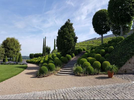 ♥♥♥ LES JARDINS DU CHATEAU ROYAL D'AMBOISE