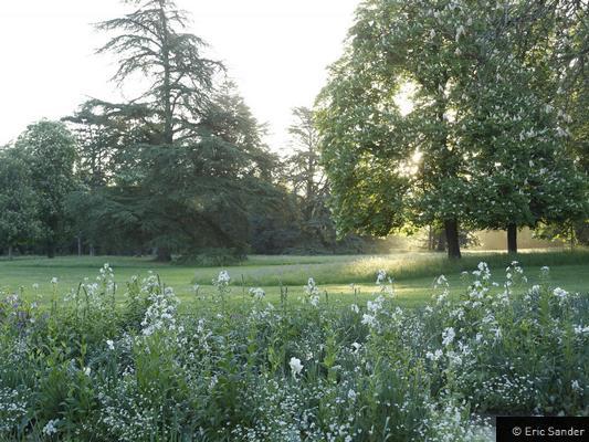 ♥♥♥ DOMAINE REGIONAL DE CHAUMONT-SUR-LOIRE