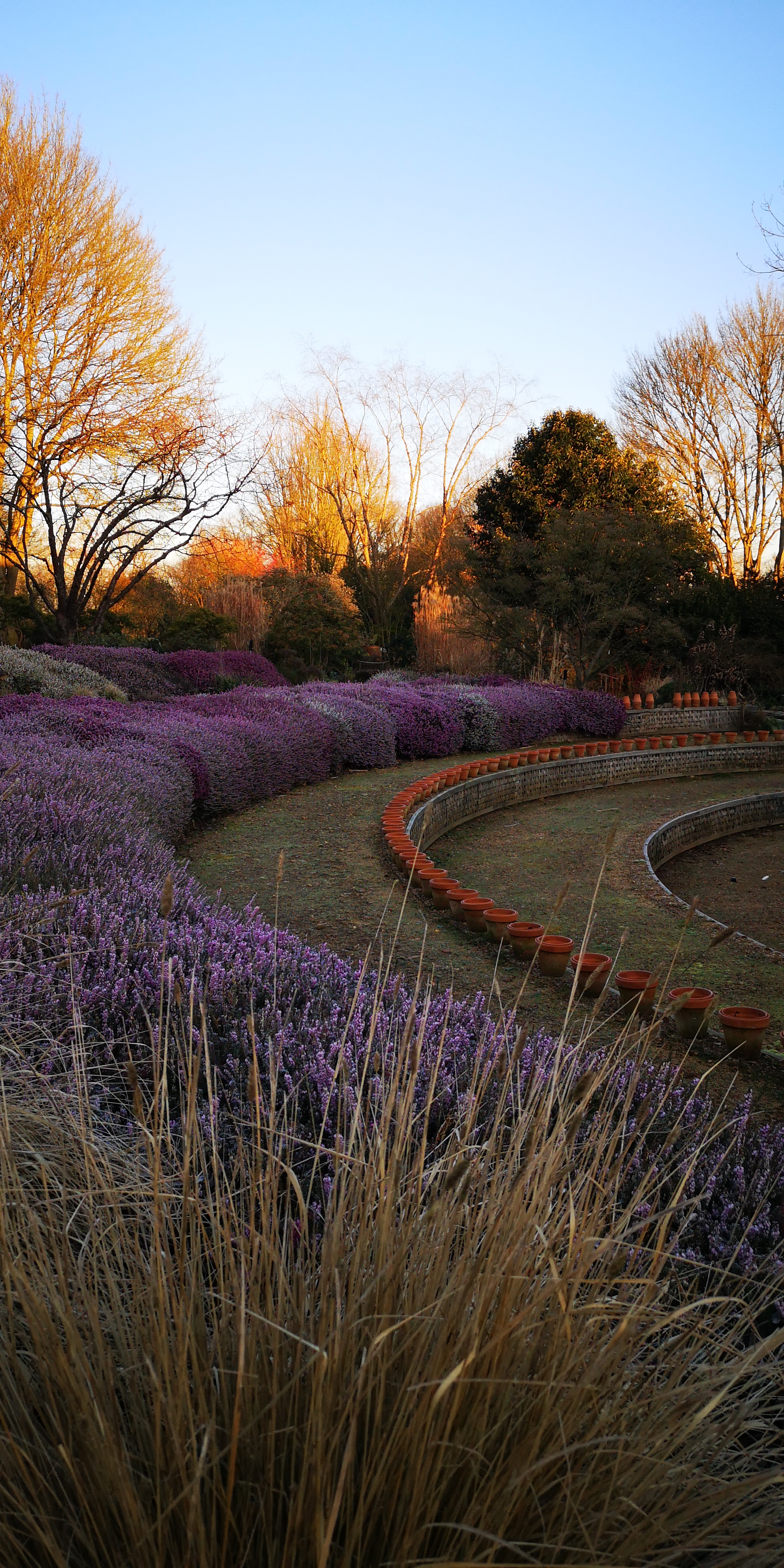 ♥♥♥ LE JARDIN FRANCOIS