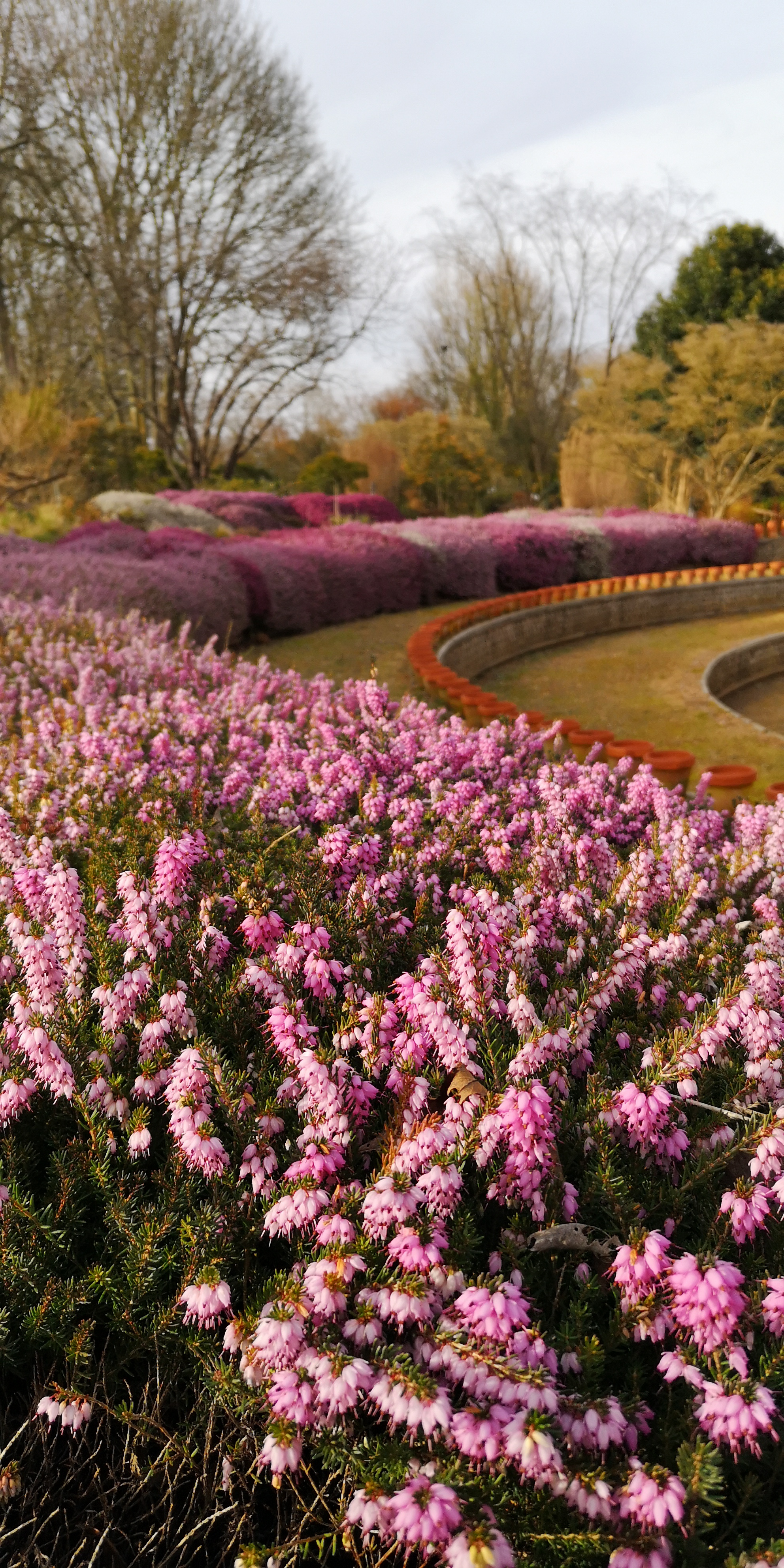 ♥♥♥ LE JARDIN FRANCOIS