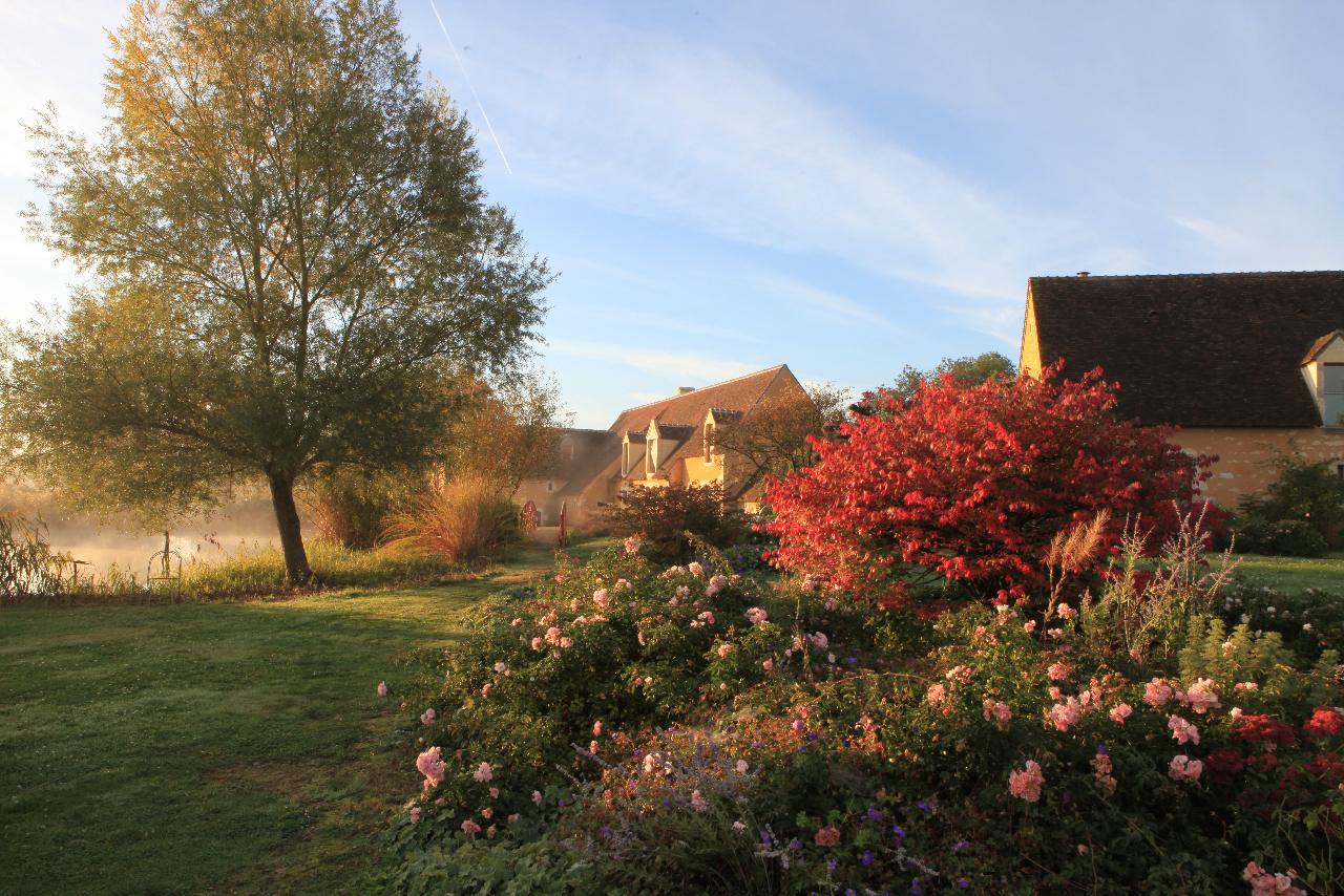 ♥♥♥ LE JARDIN FRANCOIS