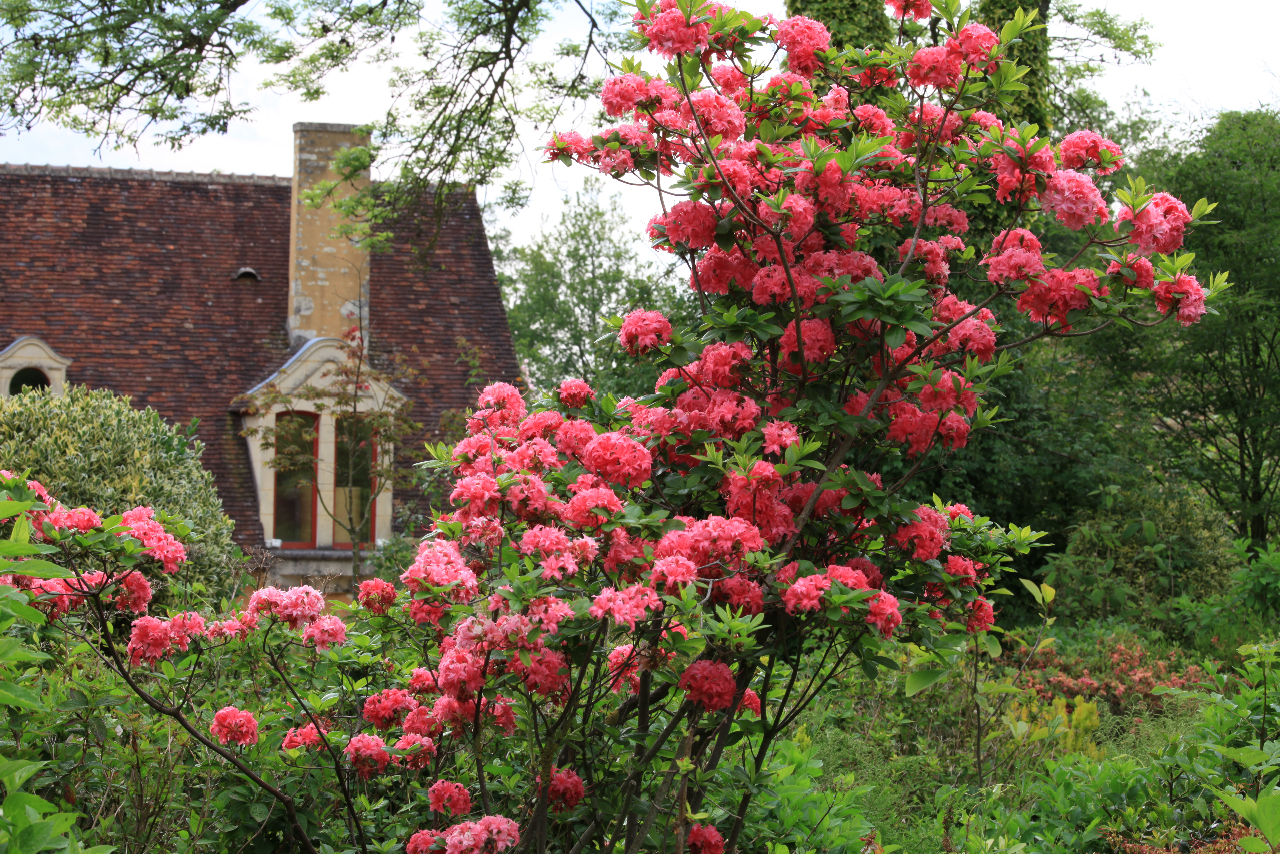 ♥♥♥ LE JARDIN FRANCOIS
