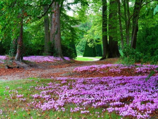 ♥♥♥ PARC DU CHATEAU DE BRETEUIL
